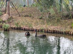 -武汉动物园