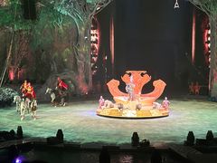 -广州长隆国际大马戏