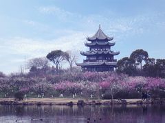 -上海海湾国家森林公园