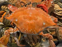 -半岛听涛蒸汽海鲜自助(K11店)