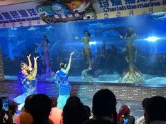 -成都浩海立方海洋公园