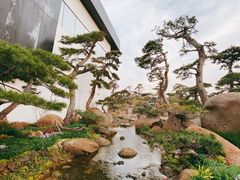 -罗红摄影艺术馆