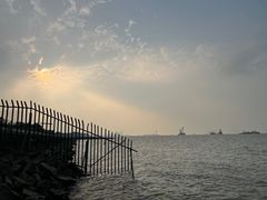 -上海滨江森林公园