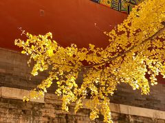 -故宫冰窖餐厅