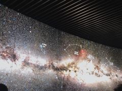 -贝林大翅鲸简餐厅(国家海洋博物馆店)