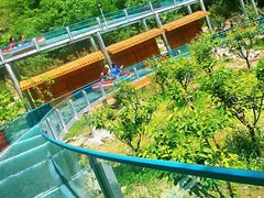 -十渡东湖港风景区