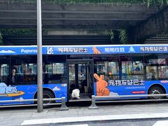 -帕帕拉兹宠物(亚洲旗舰店)