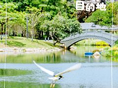 -四海公园(南山区)