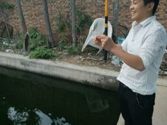 -特种渔场