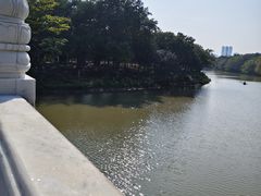 -海珠湖公园