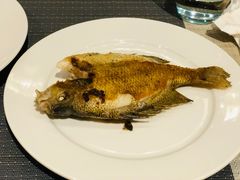 -顺德美的万豪酒店·自助餐·贡厨
