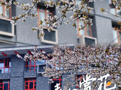 -四川大学(江安校区)