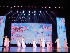 -红舞鞋舞蹈教育(近江校区)