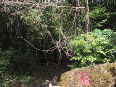 -大雁山风景区
