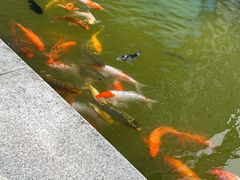-云溪植物园
