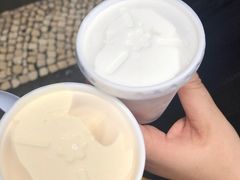 -洪馨椰子
