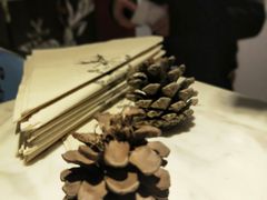 -THE ALLEY 鹿角巷(时代天街A馆店)