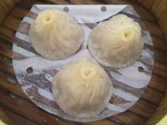 鲜肉小笼包-维多利亚大酒店·雅园中餐厅
