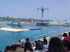 -秦皇岛乐岛海洋王国