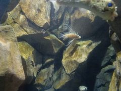 -锦艺城海洋馆