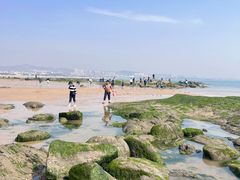 -巧克力渔家.小船海鲜胶东菜(万平口店)