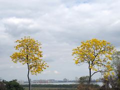 -广州莲花山旅游区