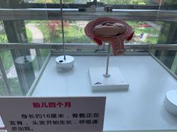 -重庆市妇幼保健院(冉家坝院区)