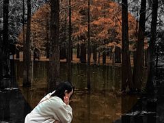 -青龙山国家森林公园