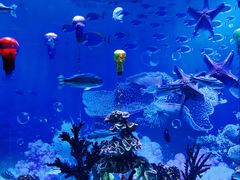 -海合安成都极地海洋公园