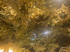 -冰城小镇音乐串吧·聚会餐厅(百子湾店)
