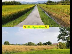 -良渚古城遗址公园