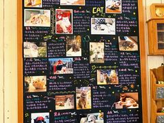 -小时光咖啡馆(开森度假森林店)