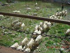 -北京上方山国家森林公园