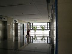 -首都医科大学附属北京天坛医院