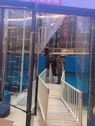 -PIPIKINGDOM皮皮王国欢乐号(欢乐海岸购物中心店)