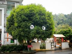 -山也·私厨(岳麓店)