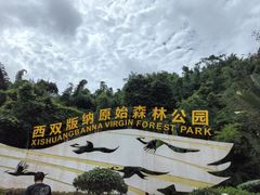 -西双版纳原始森林公园
