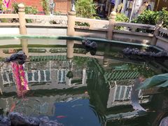 -华林禅寺