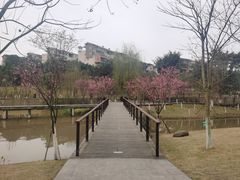 -沐仙湖湿地公园