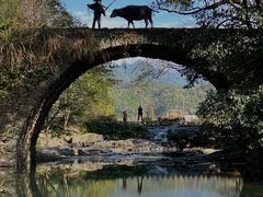 -婺源风景区