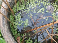 -竹泉村旅游度假区