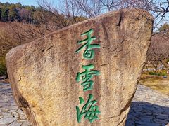 -香雪海