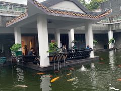 -东莞市可园博物馆