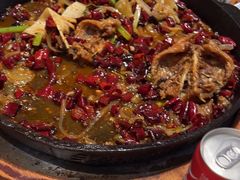 -老板恋上鱼(恒隆广场店)