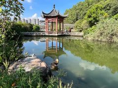 -广州神农草堂中医药博物馆