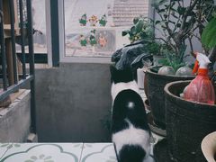 -南锣鼓巷