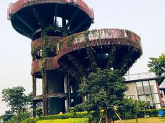-芒洲湿地公园