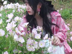 -三垟湿地