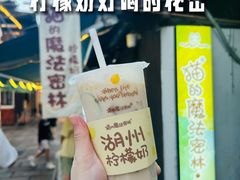 -猫的魔法密林(衣裳街店)