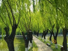 -中国农业博物馆